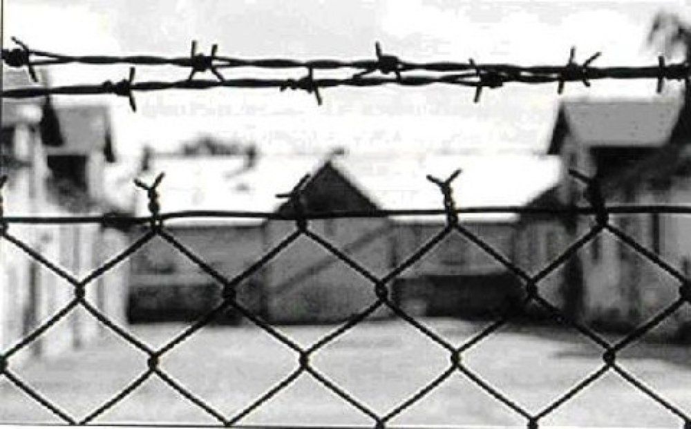 Per non dimenticare: 27 Gennaio "Il giorno della memoria"